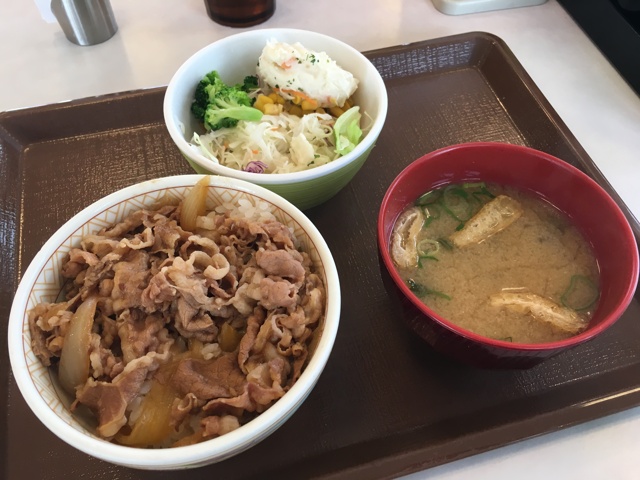 牛丼ミニ・ポテトサラダセット