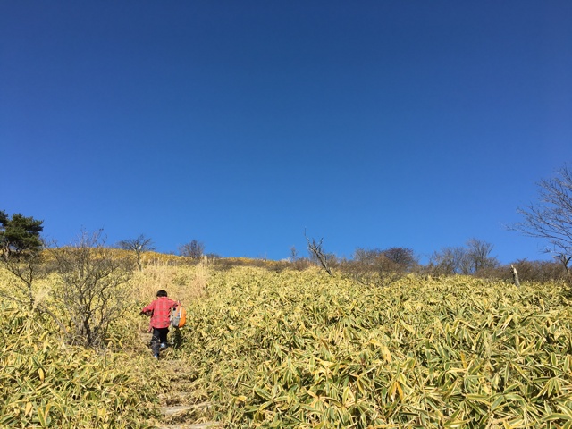 秋晴れの赤城山鍋割山。南面の鍋割山登山口、急登の不動様経由コースから小学一年生の子供と一緒に。