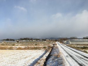 1/17 今朝の赤城山