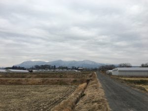 1/20 今朝の赤城山