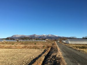 1/26 今朝の赤城山