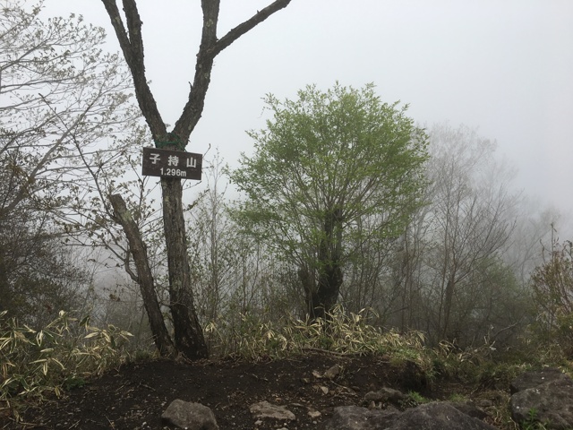 小雨降る子持山にソロ初登頂。壮観であろう展望も本日はどこも真っ白。