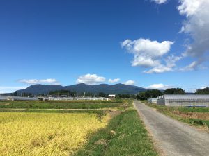 10/4 今朝の赤城山