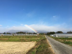 11/9 今朝の赤城山