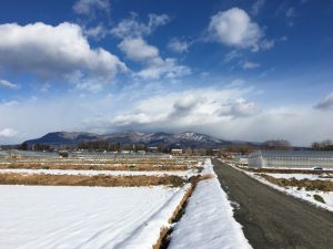 1/24 今朝の赤城山