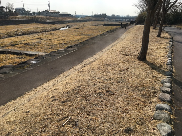 路面に湯気