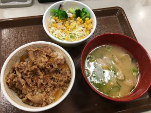 牛丼ミニサラダセット