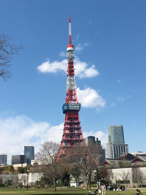 芝公園から望む東京タワー