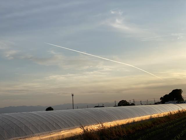夕焼けに飛行機雲