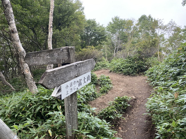 登り終わり稜線へ