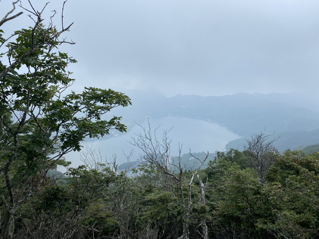 駒ケ岳から望む大沼