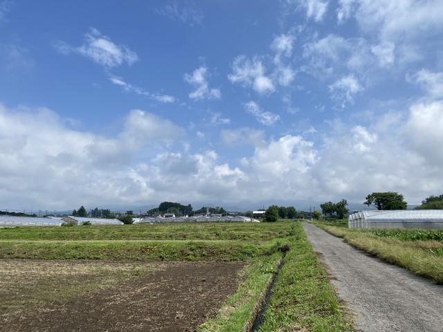 6/13 今朝の赤城山