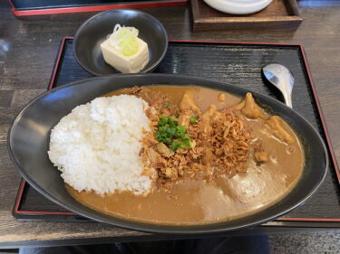 もつ煮専門店 王里 で もつ煮カレー を食す。前橋市鳥取町、芳賀公園グラウンド近くで営業。