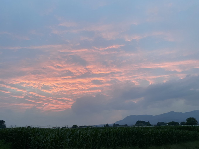 昨日の夕焼け