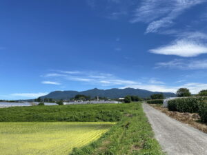 7/29 今朝の赤城山