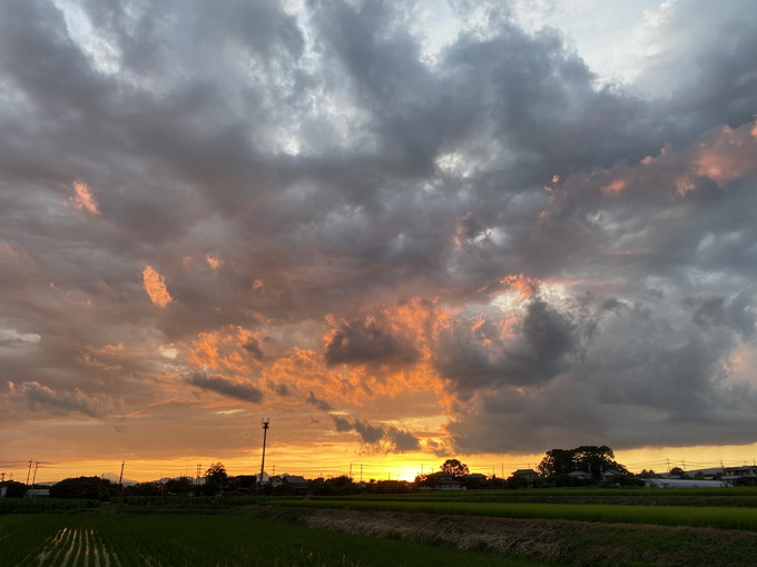 昨日の夕焼け