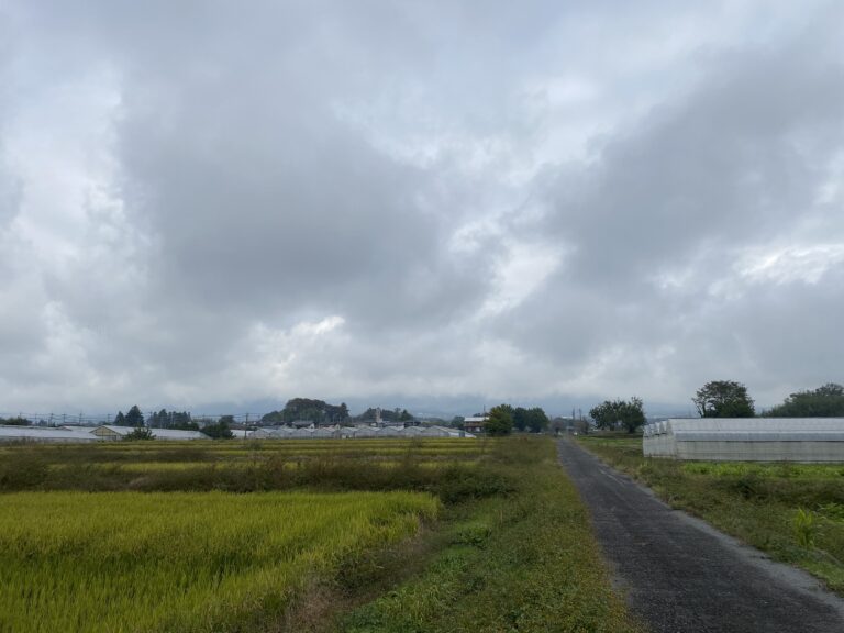 11/6 今朝の赤城山