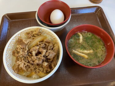 すき家 前橋堀越店 で 牛丼（ミニ）みそ汁たまごセット を食す。前橋市樋越町、樋越町南交差点北で営業。