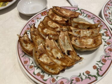 餃子の王将 前橋三俣店 で 春巻き 餃子 にんにく激増し餃子 などを食す。前橋市三俣町、東部バイパス沿いで営業。