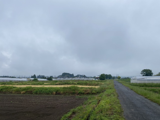 5/30 今朝の赤城山