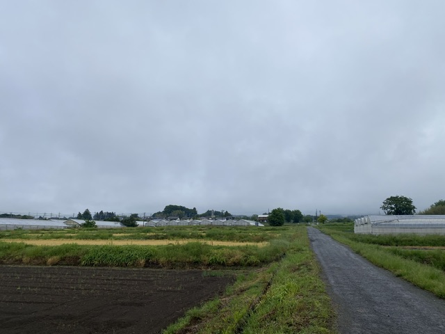 5/25 今朝の赤城山