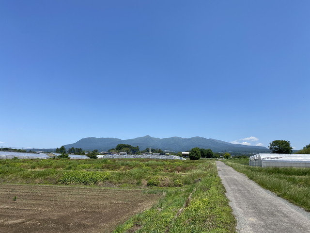 6/5 今朝の赤城山