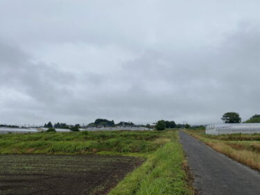 2025年6月24日 – 本日・今朝の赤城山 – 今日も群馬県前橋市より発信。