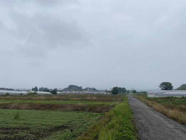 7/7 今朝の赤城山