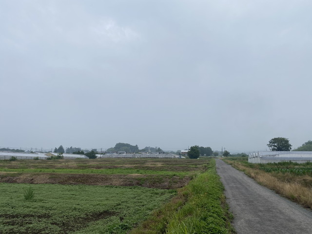 7/8 今朝の赤城山