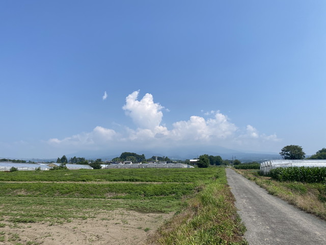 7/24 今朝の赤城山