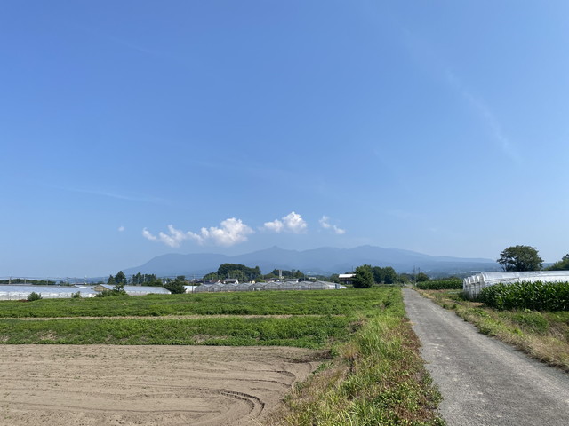 7/26 今朝の赤城山