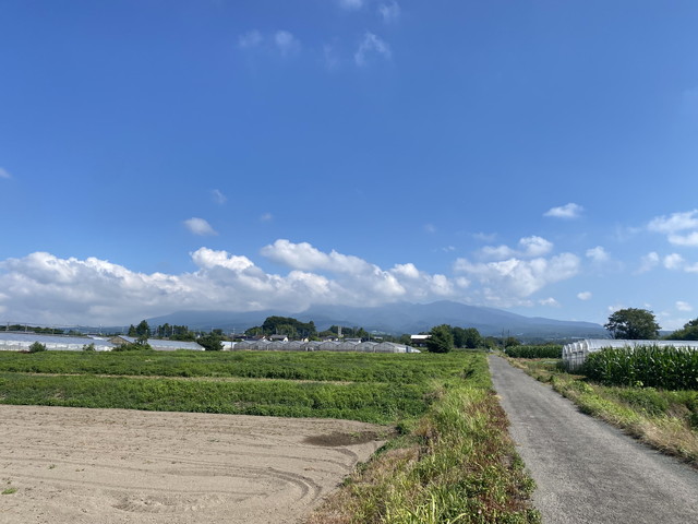 7/31 今朝の赤城山