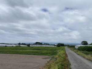 8/1 今朝の赤城山