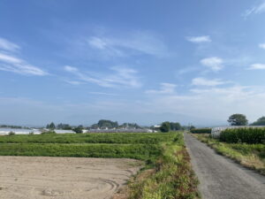 8/5 今朝の赤城山
