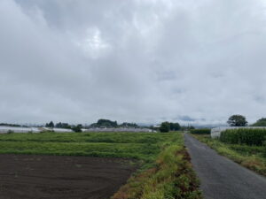 8/7 今朝の赤城山