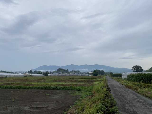 8/12 今朝の赤城山