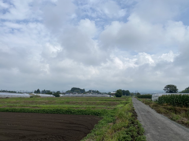 8/16 今朝の赤城山
