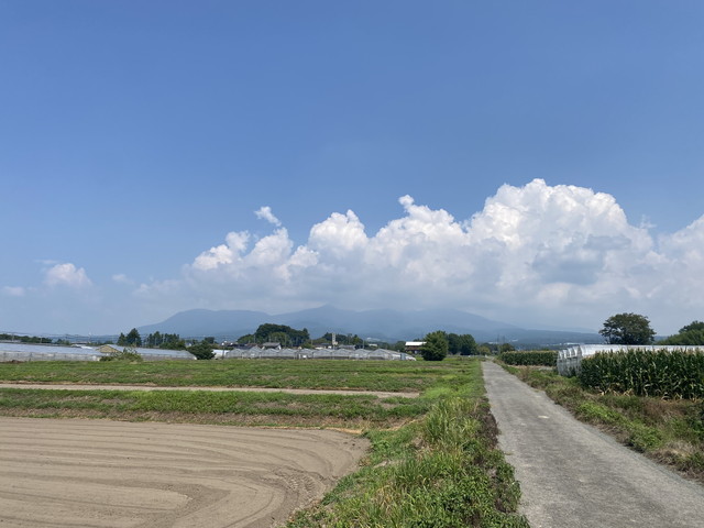 8/24 今朝の赤城山