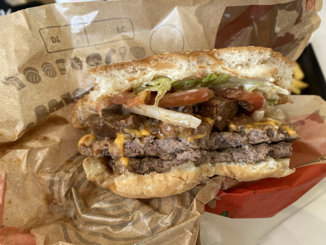バーガー断面