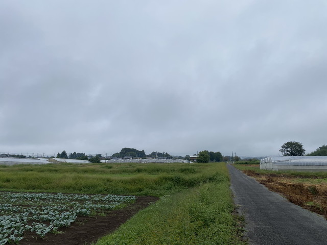 10/9 今朝の赤城山