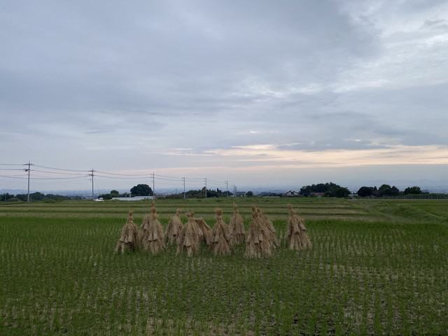 一昨日の夕景