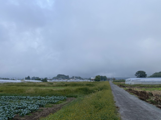 10/21 今朝の赤城山