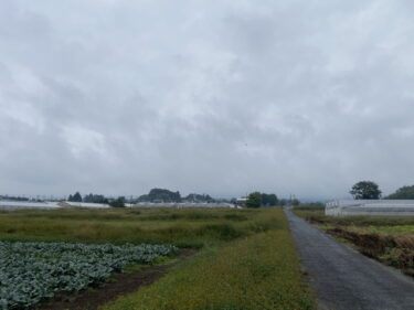 2025年10月25日 – 本日・今朝の赤城山 – 今日も群馬県前橋市より発信。