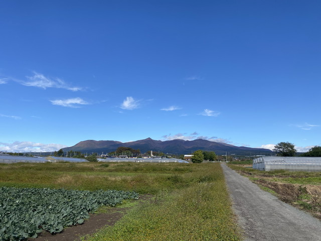 11/1 今朝の赤城山