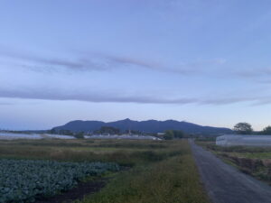 11/2 今朝の赤城山