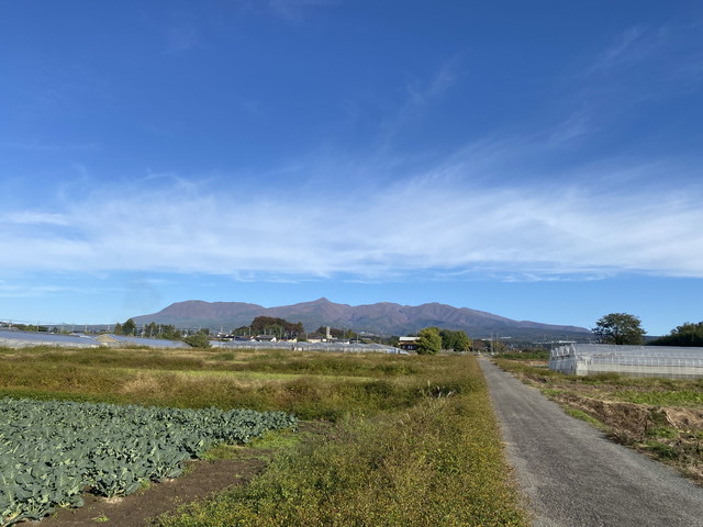 11/5 今朝の赤城山