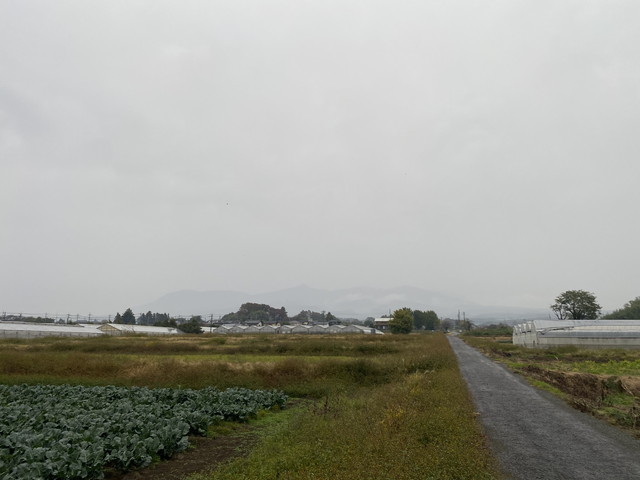 11/9 今朝の赤城山