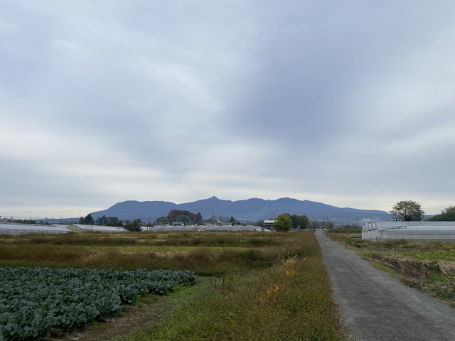 11/13 今朝の赤城山