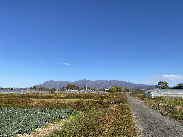 11/15 今朝の赤城山