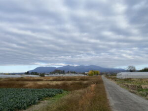11/27 今朝の赤城山